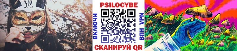 hydra зеркало  Гвардейск  Галлюциногенные грибы Cubensis 
